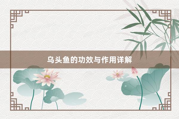 乌头鱼的功效与作用详解